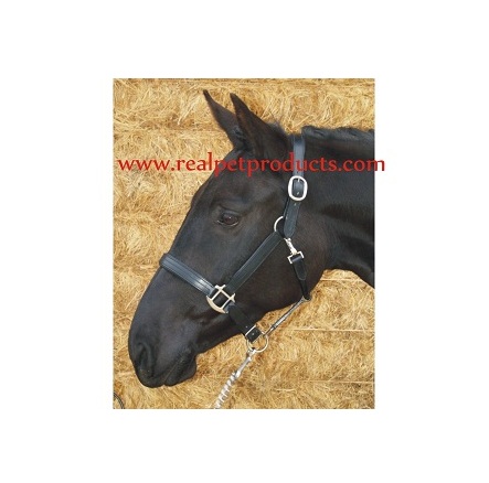 Horse Halter